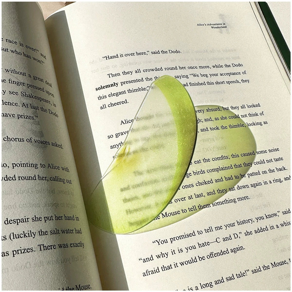 fruit acrylic bookmarks