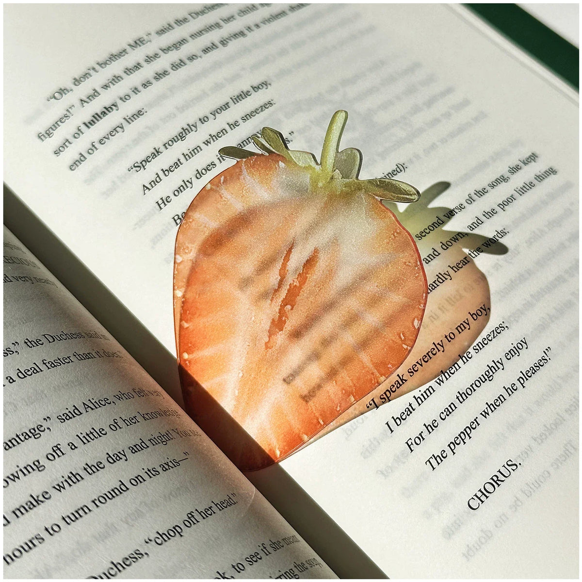 fruit acrylic bookmarks