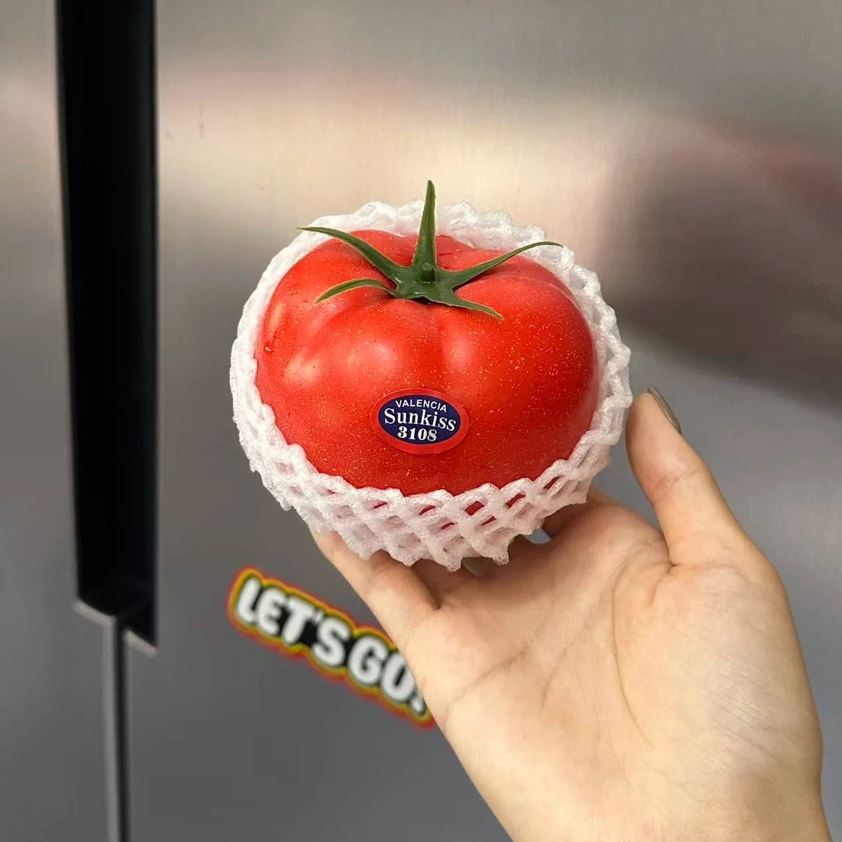 tomato and veggies fridge magnet