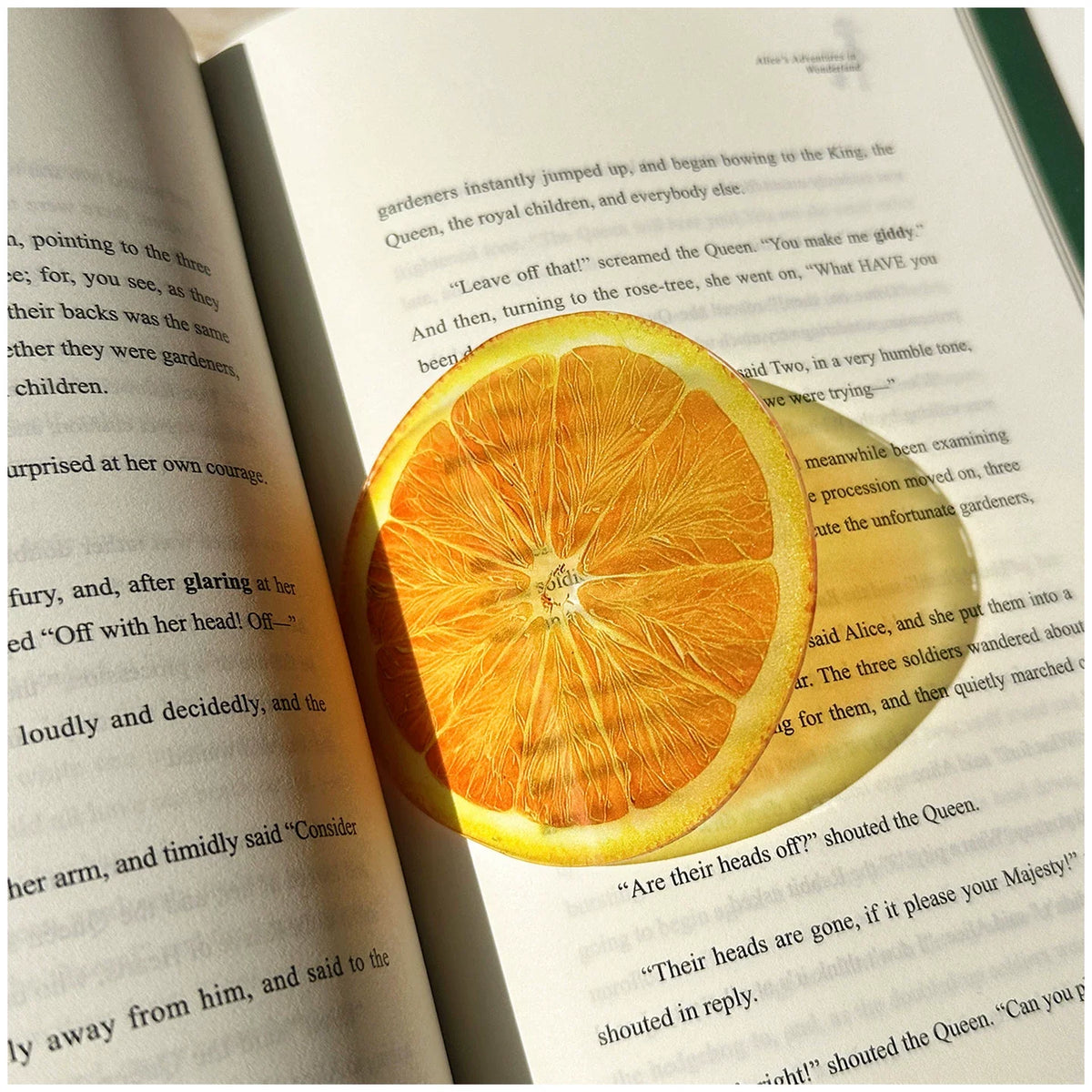 fruit acrylic bookmarks